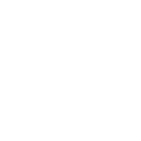 行業(yè)管控經(jīng)驗(yàn)